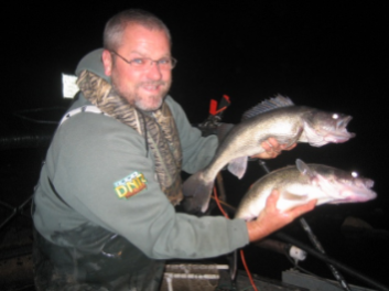 A fisheries biologist holds two walleye collected during fall night electrofishing